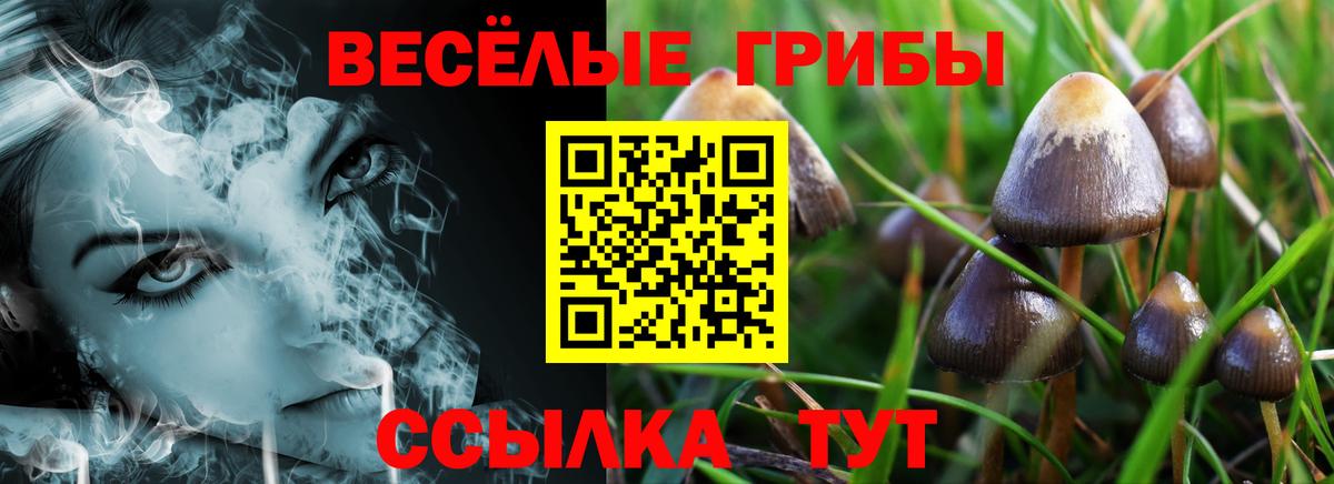 Псилоцибиновые грибы прущие грибы Котельники