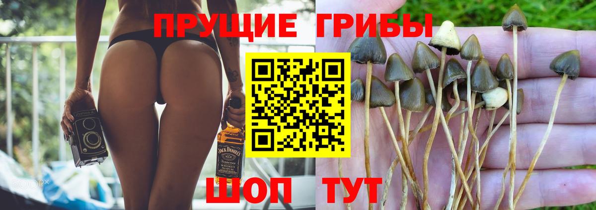 Галлюциногенные грибы Psilocybine cubensis  Галлюциногенные грибы MAGIC MUSHROOMS  Вход с VPN  Котельники 